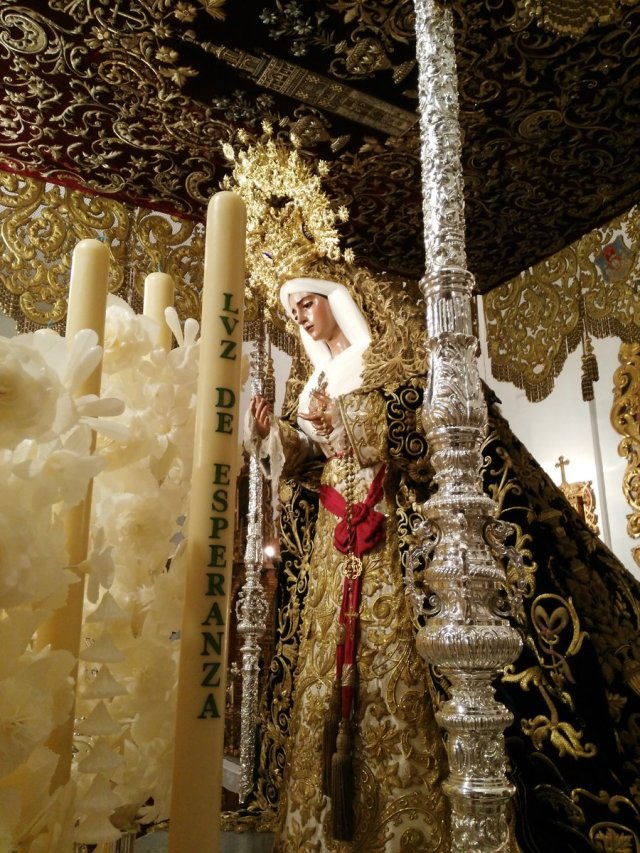 Domingo de Ramos En Sevilla Espana (2)