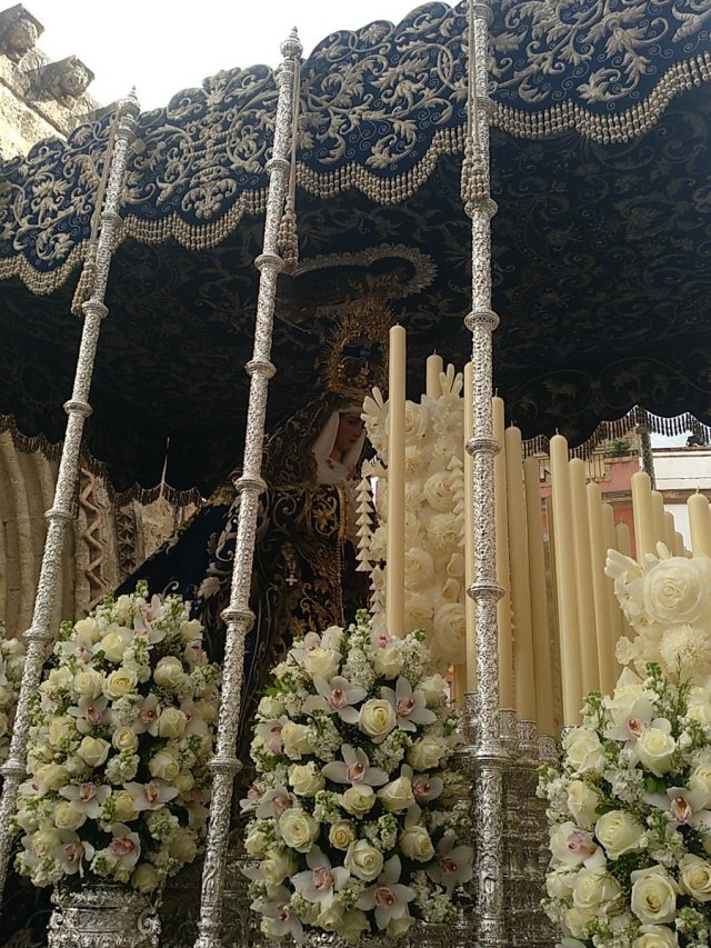 Domingo de Ramos En Sevilla Espana (26)