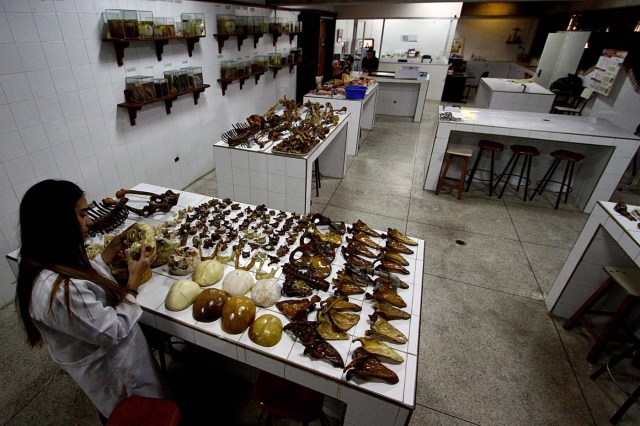 Los salones de la Universidad de los Andes en San Cristóbal, Táchira / Foto AFP / GEORGE CASTELLANOS 