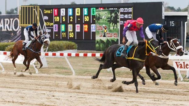 Cicpc desmantela mafia que operaba en el hipódromo de Valencia