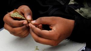 Portugal avanza hacia la legalización de la marihuana medicinal