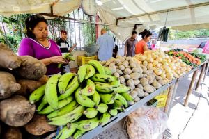 La canasta alimentaria de Maracaibo disminuyó 1% en comparación al mes de septiembre