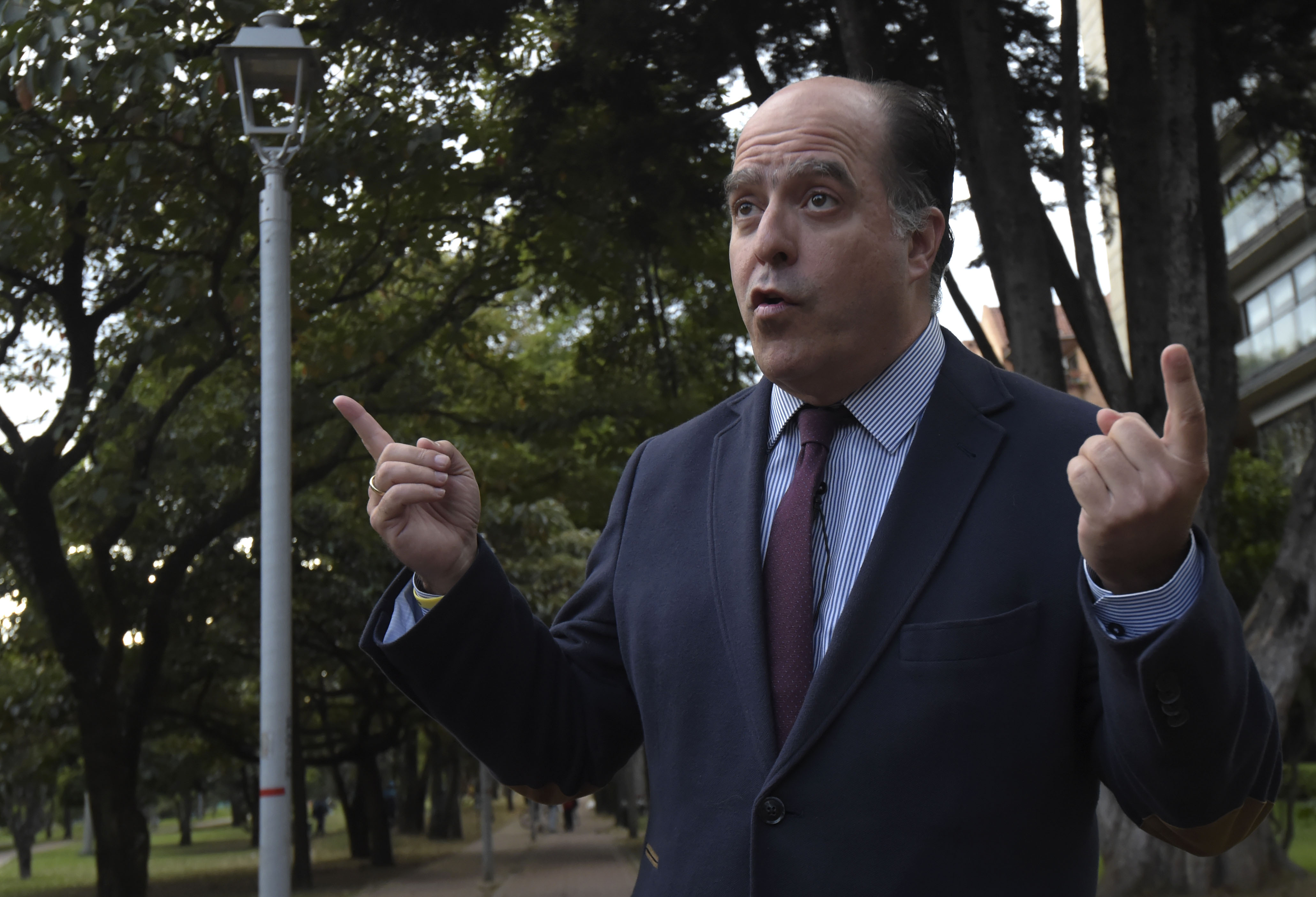 Borges sobre anuncios de Guaidó: Son los pasos correctos para consolidar la transición democrática