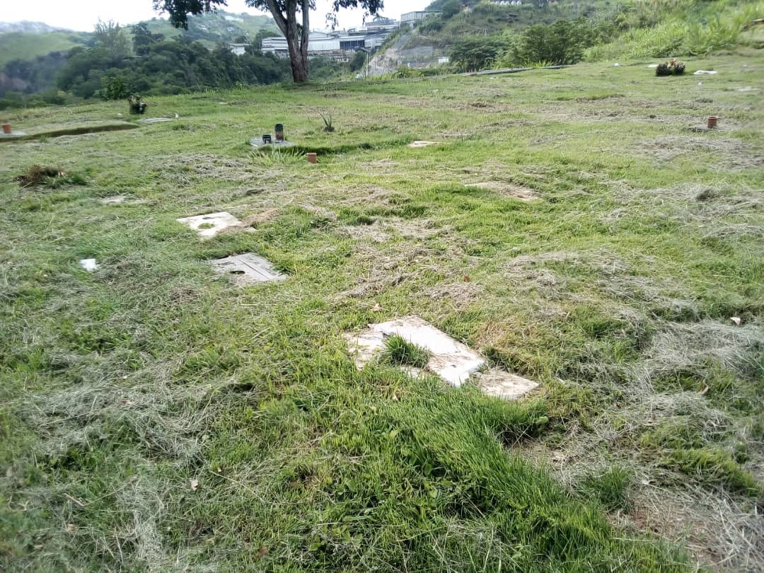 Continúan los robos de lapidas en el Cementerio del Este #12Ago (fotos)