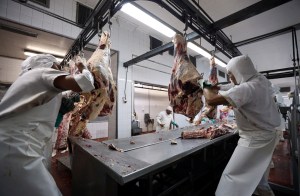 Argentina volverá a comerciar carne bovina con EEUU