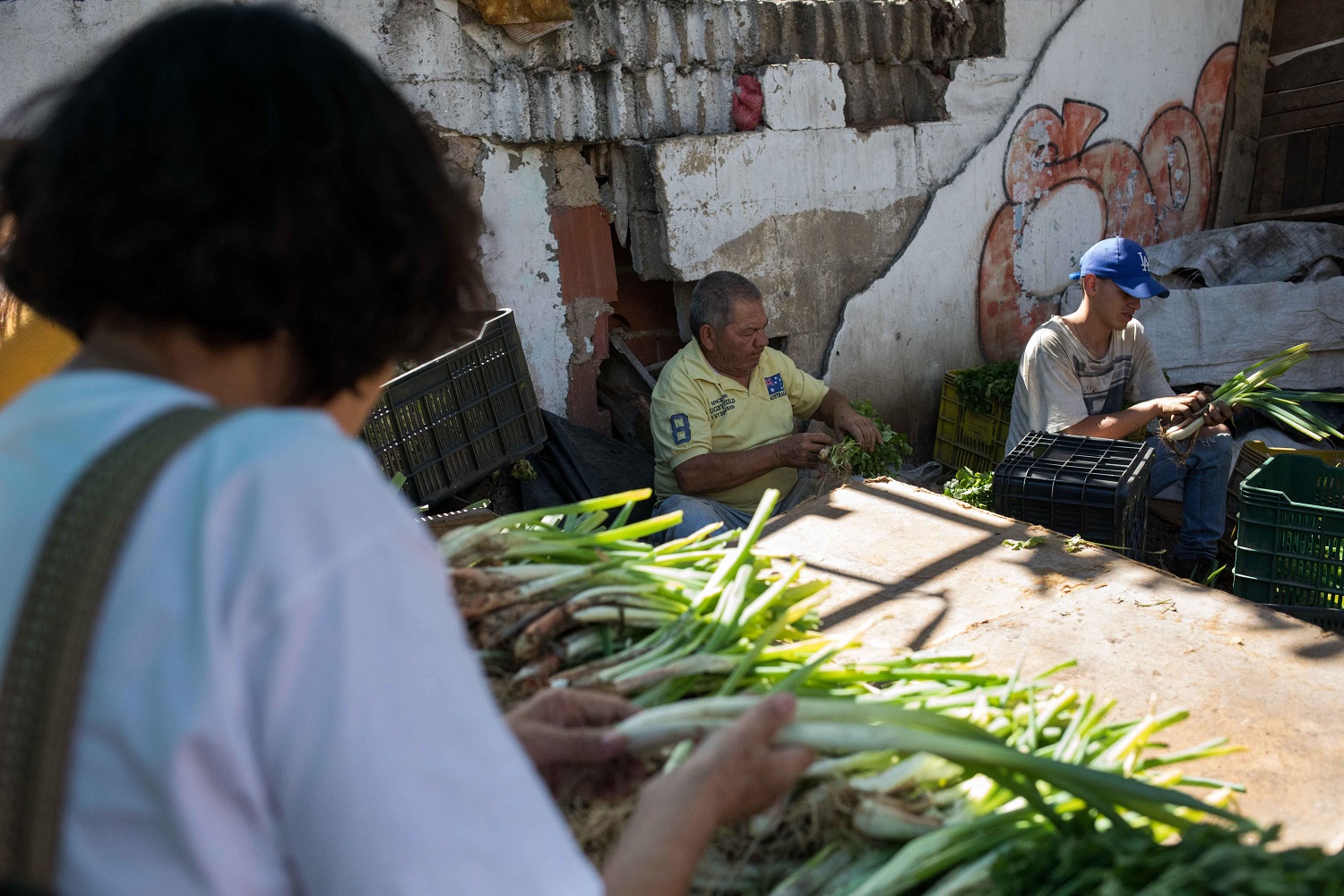 Escasez de gasolina incrementa el precio de las verduras y hortalizas