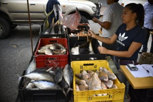Los pescados populares se consiguen entre 6.000 y 8.000 bolívares el kilo