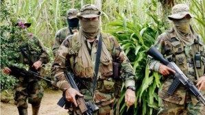 Capturaron a 14 miembros de “Los Rastrojos” en Boca de Grita, estado Táchira