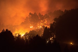 Evacuan a miles de personas por un voraz incendio que consume Gran Canaria (Fotos)