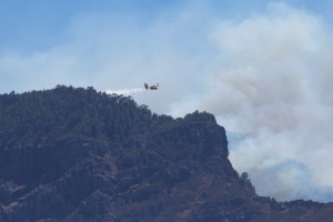 En Fotos: Incendio en isla española de Gran Canaria podrá ser estabilizado