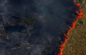 La selva de la Amazonia arde a una velocidad récord, advierte agencia espacial