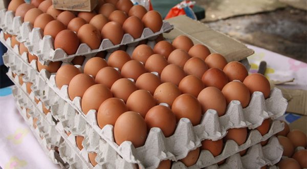 Comprar un cartón de huevos es un golpe al bolsillo