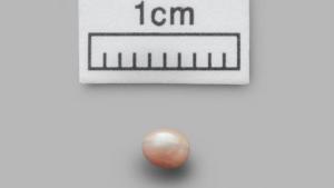 Encuentran una perla de 8.000 años en Emiratos Árabes Unidos