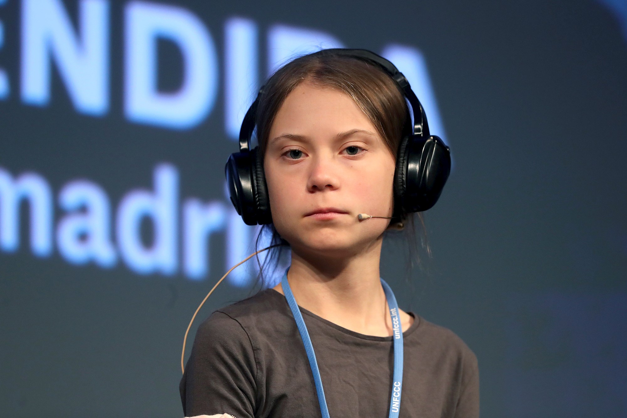 Pequeño animal antártico es bautizado en honor a Greta Thunberg (FOTO)