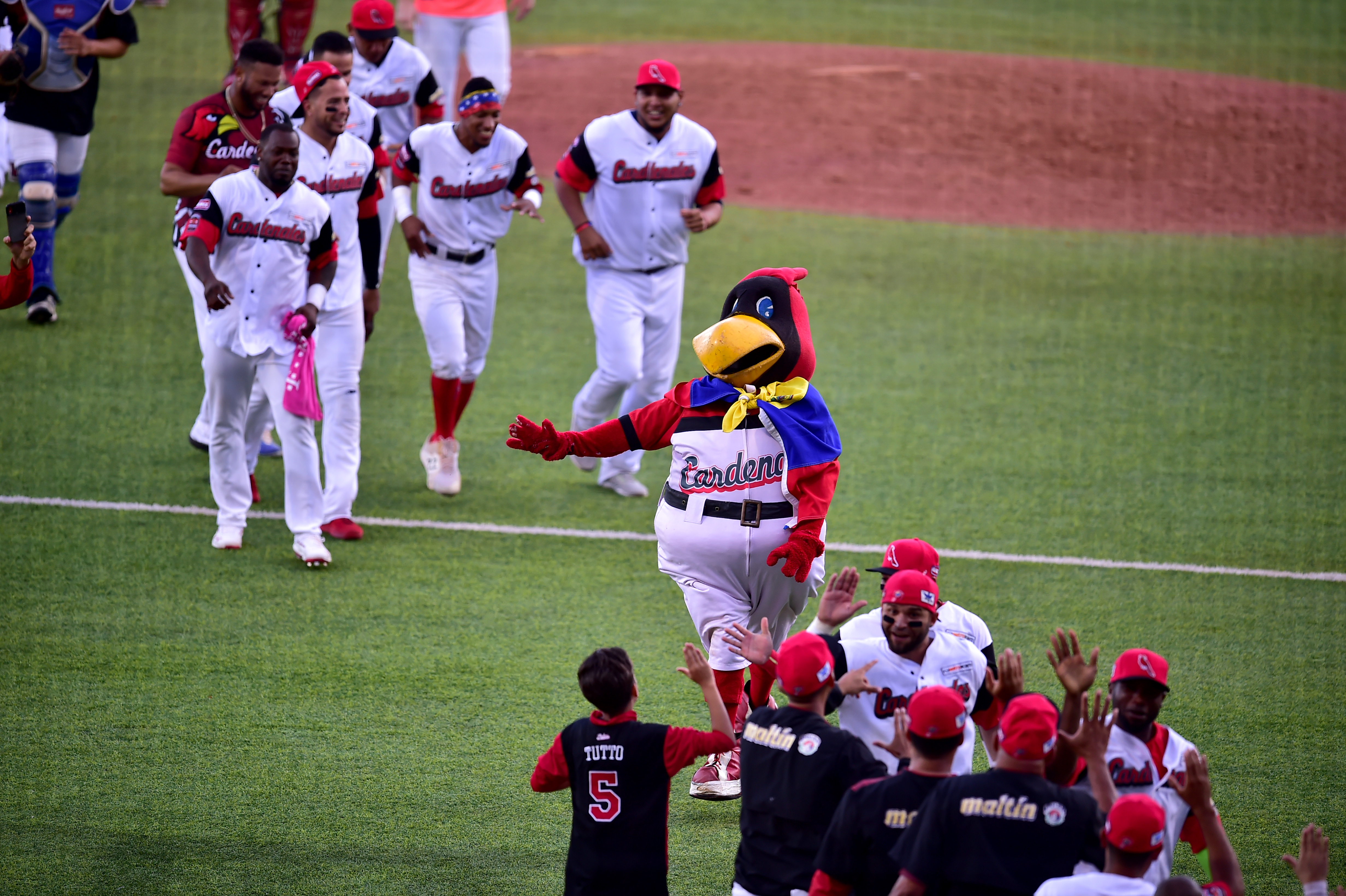 Cardenales blanqueó a Tomateros y se metió en la final de la Serie del Caribe