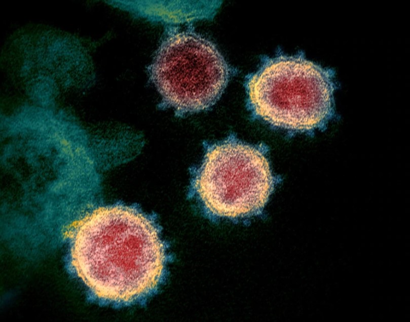 De asintomático a enfermo grave: El escalofriante misterio del Covid-19 que se esconde en el sistema inmunológico
