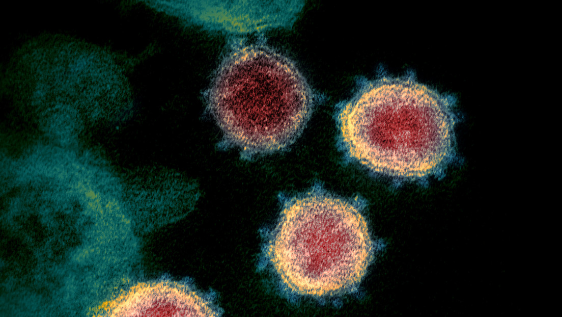 Científicos argentinos logran secuenciar el genoma completo del nuevo coronavirus