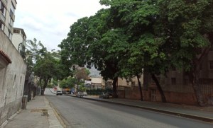 Vecinos de El Llanito denuncian que árboles en las aceras deben ser podados #30May (Fotos)