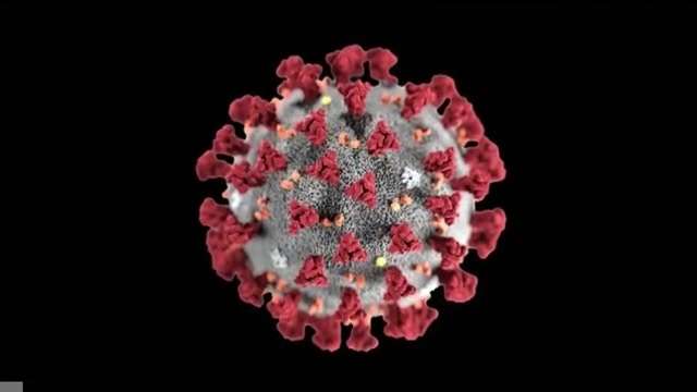 Más de 10,000 casos por coronavirus son reportados en Miami