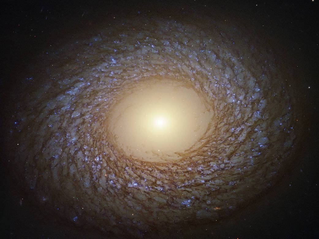 La Nasa encontró una galaxia “emplumada” a 67 millones de años luz de la Tierra (FOTO)