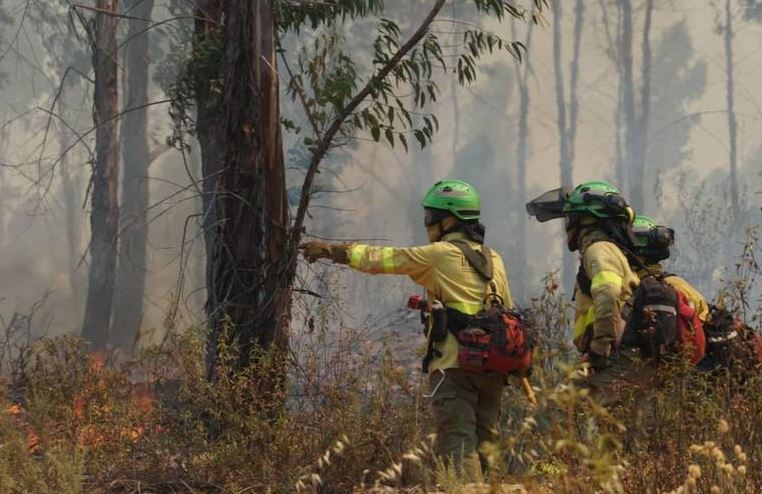 Cerca de 3.500 evacuados y 10.000 hectáreas quemadas por incendios en España