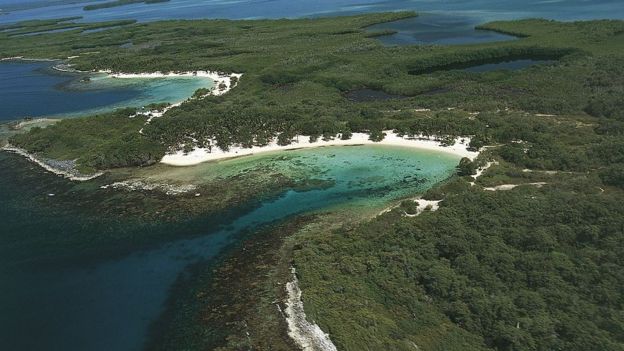 Derrame de crudo destruye al Parque Nacional Morrocoy: “Hemos conseguido pescados que al abrirlos tienen petróleo”