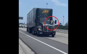¡De película! La rara escena de un hombre sobre el capó de un camión a toda velocidad (VIDEO)