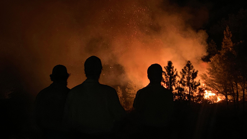 Gobernador de California declara estado de emergencia en varios condados tras crecientes incendios forestales