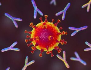 Los anticuerpos podrían predecir la evolución del coronavirus en las personas no vacunadas