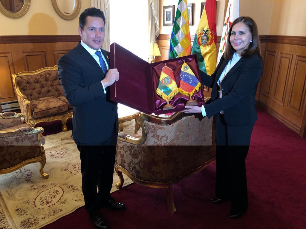 Embajador de Venezuela en Bolivia presentó cartas credenciales a la Canciller Longaric (Fotos)