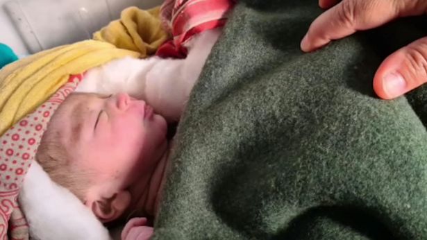 Imágenes sensibles: Bebé recién nacido es rescatado en India luego de ser enterrado vivo en una granja