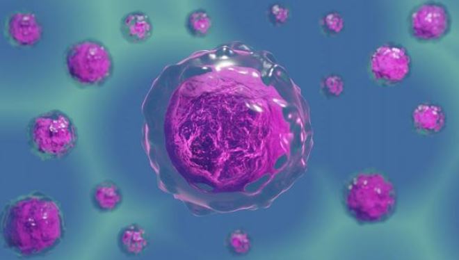 ¿Son las células T suficientes para protegerse del coronavirus?