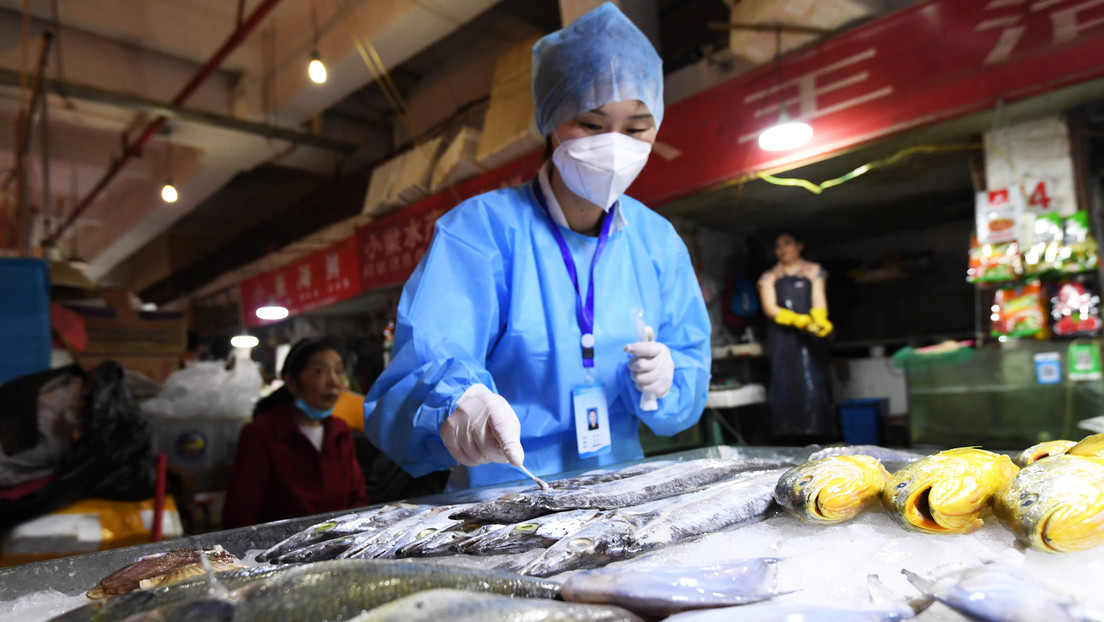 China vigila productos congelados importados debido al coronavirus