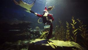 Santa Claus se sumerge con los peces en acuario tailandés (FOTOS)