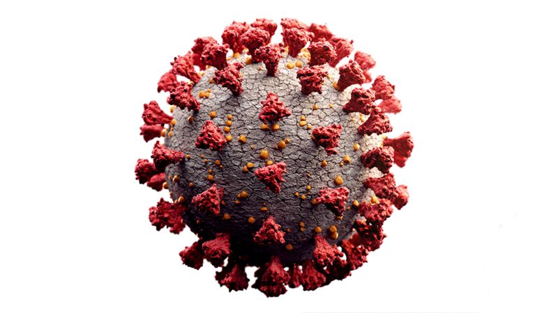 Cómo fue identificado el primer virus de la historia… y qué pasó después de su descubrimiento