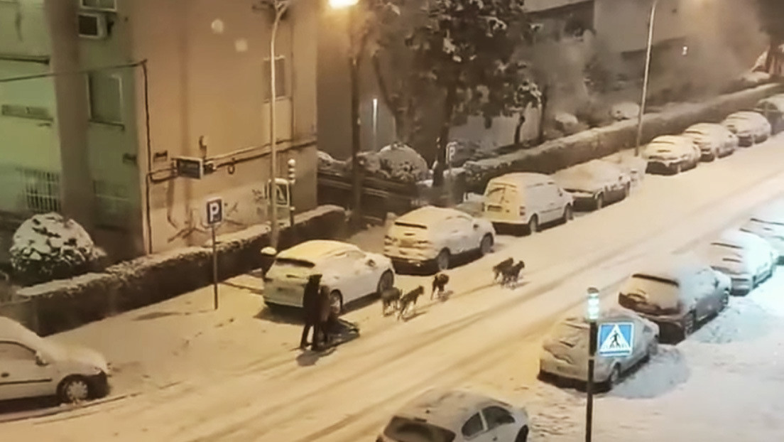 Un hombre se pasea por Madrid en un trineo jalado por perros en medio de una histórica nevada (Video)