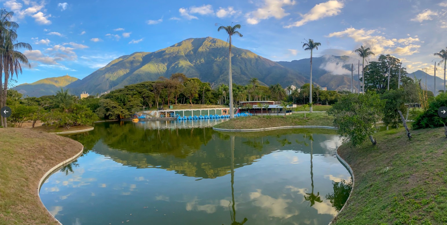 Denuncian que tortuga muerta en Parque del Este podría contaminar a otras especies (VIDEO)