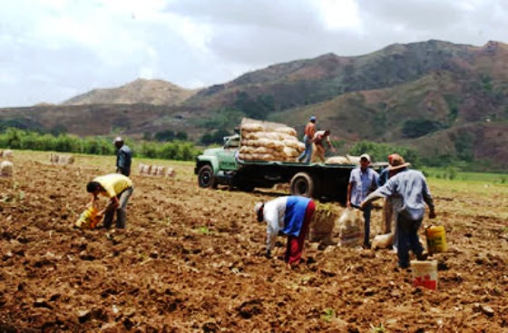 Frente en Defensa de los Productores Agropecuarios: El campo venezolano sufre la peor crisis de su historia