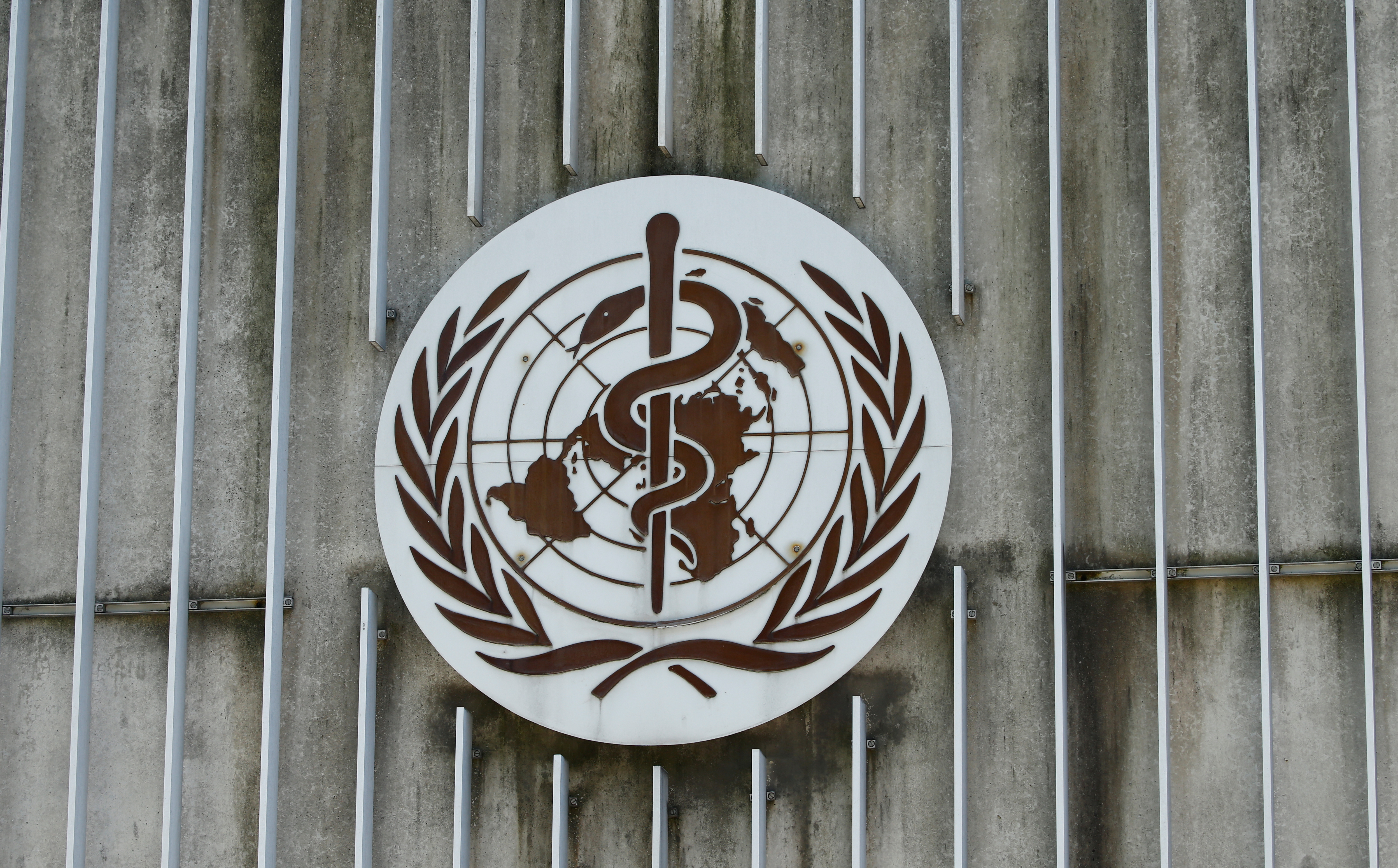 Los reguladores y la OMS piden acceso público a los ensayos clínicos
