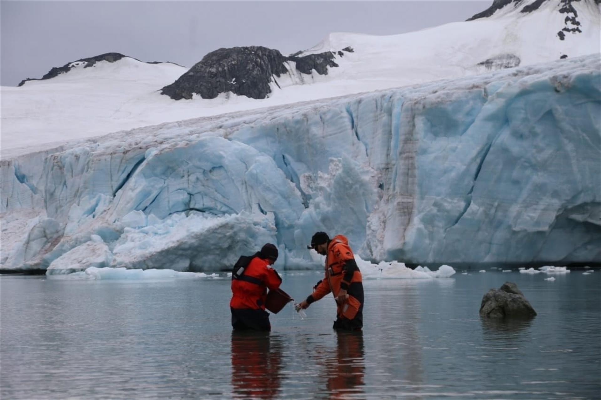 Argentina y la investigación de la Antártida: 70 años de trabajo científico