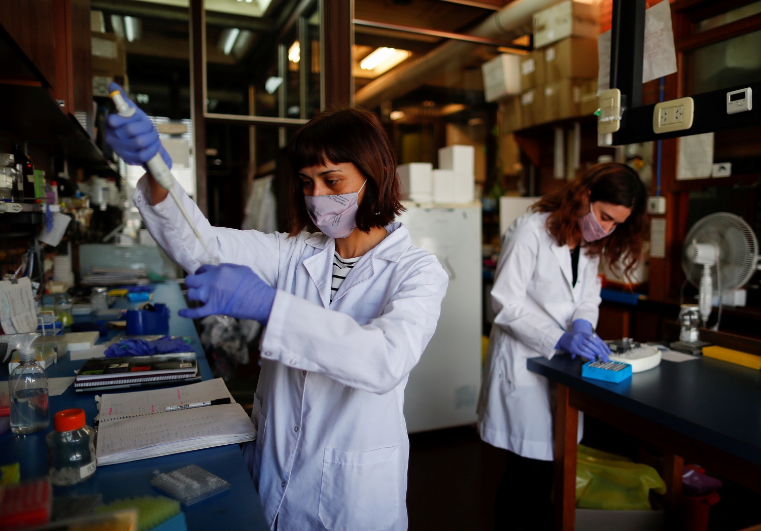 Científicas pisan fuerte en América Latina, pero persisten las brechas de género