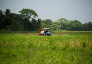 Aumento del diésel, “duro golpe” que preocupa al sector agropecuario de Venezuela