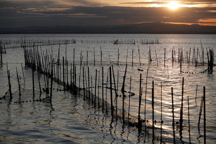 Los lagos pierden oxígeno por el calentamiento global antes que los océanos