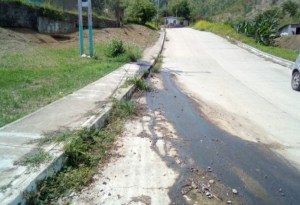 Denunciaron desbordamiento de aguas servidas en La Ceiba de Guárico