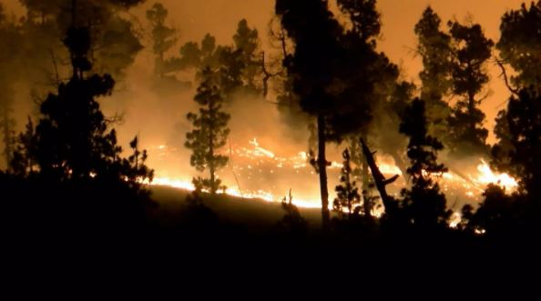 Decenas de heridos y evacuados por incendio forestal en el sur de Turquía