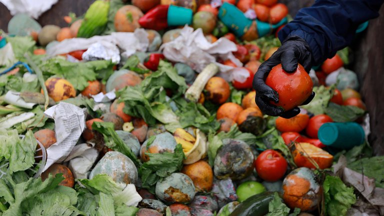 Desperdicio de alimentos: Un 40% de la comida termina en la basura
