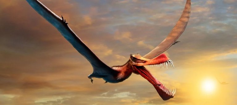 Hallaron los restos de un aterrador “dragón volador”, el más grande de la antigua Australia (FOTOS)