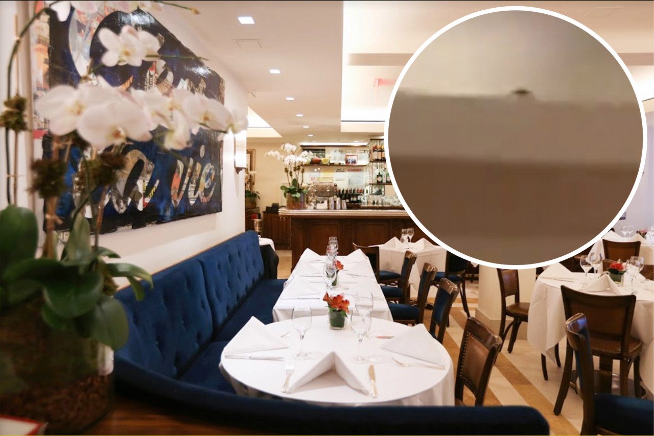 ¿Ratatouille? Captaron a un ratón paseándose dentro el restaurante más elegante de Nueva York