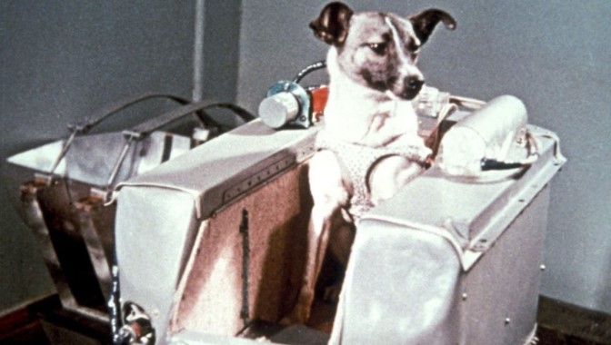 La terrible historia de Laika, la perra que los rusos mandaron al espacio sabiendo que iba a morir