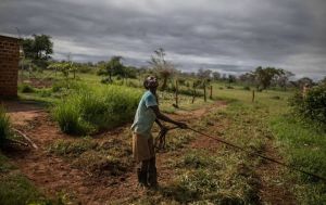 África ya no quiere pagar por las consecuencias de la crisis climática